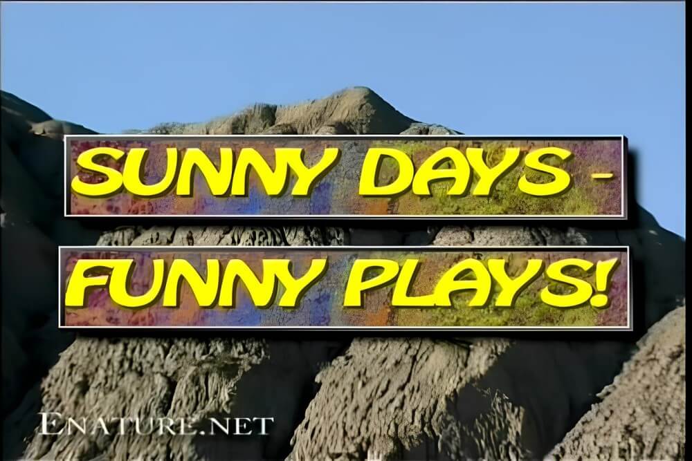 Enature - Sunny Days – Funny Plays - This movement helps people understand that the naked body is not an object for judgment or condemnation