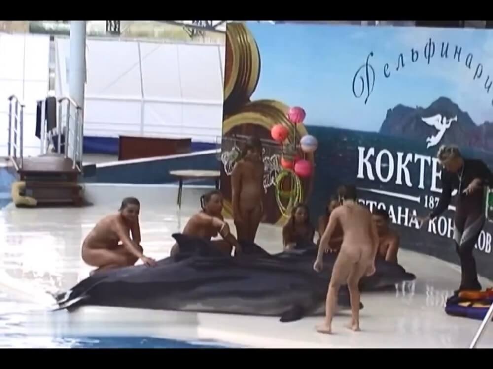 Relaxing at the dolphinarium - Living in harmony with nature as the primary goal of the naturist lifestyle